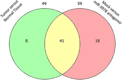 STEAP1 Regulates Tumorigenesis and Chemoresistance During Peritoneal Metastasis of Gastric Cancer